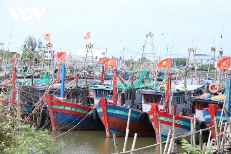 Ninh Bình tăng cường kiểm soát tàu cá, quyết liệt chống khai thác IUU