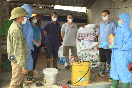Thái Nguyên: Yêu cầu tăng cường các biện pháp phòng, chống dịch tả lợn châu Phi