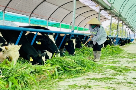 Lâm Đồng: Khoa học – công nghệ giải những bài toán thực tiễn phát triển