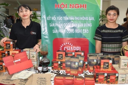 Thương mại điện tử Lâm Đồng: Hướng tới 100% sản phẩm OCOP có hồ sơ số và truy xuất nguồn gốc