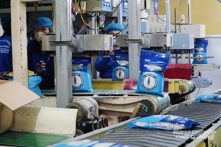 Thêm 4 lô gạo được chứng nhận chủng loại gạo thơm xuất khẩu vào EU