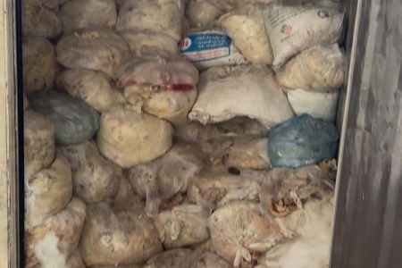 Bắc Ninh: Phát hiện 3 tấn lòng lợn không rõ nguồn gốc, xuất xứ