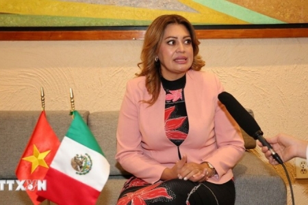 Bầu cử Quốc hội và Hội đồng nhân dân: Củng cố vai trò hoạch định chính sách trong phát triển đất nước