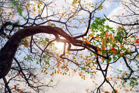 Dự báo thời tiết ngày 22/3: Miền Bắc nhiều mây, có mưa và sương mù