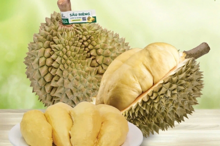 Giá sầu riêng hôm nay 18/3: Sầu Thái loại A dao động mức 160.000 đồng/kg