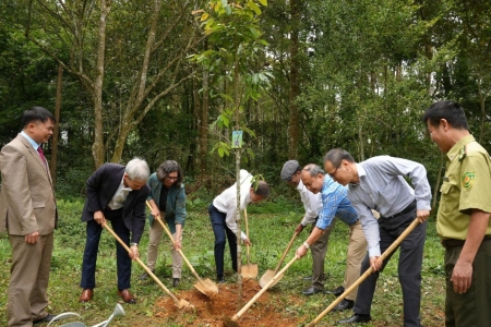 Đánh thức “kinh tế rừng” trong chiến lược phát triển bền vững
