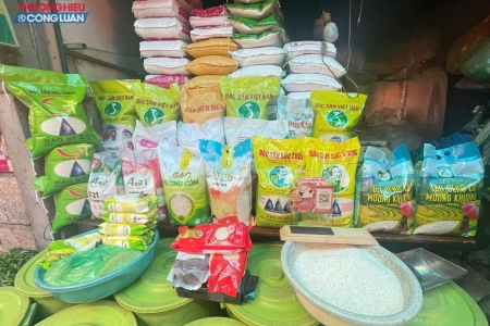 Giá xăng dầu tăng, chuỗi lúa gạo chịu áp lực từ xuất khẩu đến bán lẻ