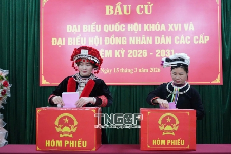 Công bố 59 người trúng cử đại biểu HĐND tỉnh Thái Nguyên, nhiệm kỳ 2026 - 2031