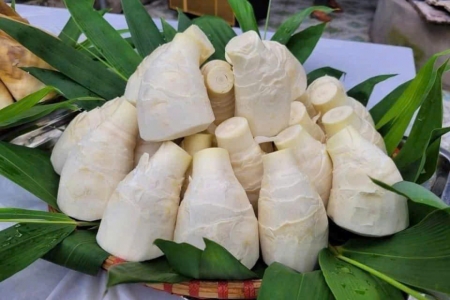 Từ đặc sản làng quê đến thương hiệu quốc gia: OCOP đang ở giai đoạn nào?