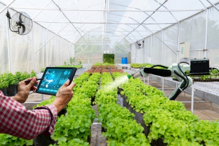 Ứng dụng trí tuệ nhân tạo vào truy xuất nguồn gốc trong nông nghiệp