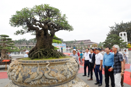 Triển lãm sinh vật cảnh - Festival Bắc Ninh “Về miền di sản 2026”