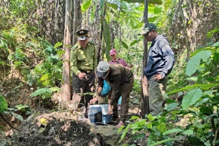Quảng Trị: Thả 11 cá thể động vật hoang dã về môi trường tự nhiên