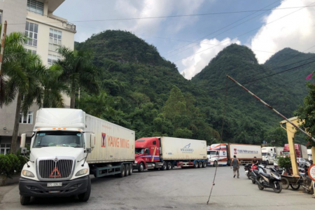 Hải quan khu vực VI: Đẩy mạnh chuyển đổi số trong quản lý phương tiện xuất nhập cảnh