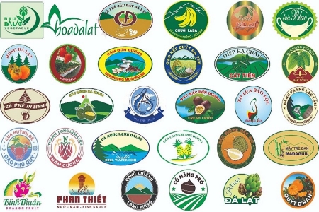 Lâm Đồng gỡ “điểm nghẽn” kích hoạt động lực phát triển khoa học và đổi mới sáng tạo