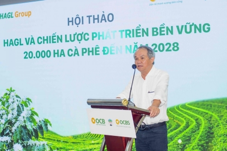 HAGL lên kế hoạch lãi kỷ lục 4.200 tỷ đồng, dự kiến chia cổ tức trở lại sau hơn 10 năm