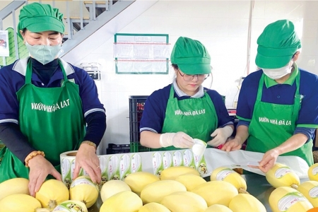 “Đòn bẩy kép” cho HTX: Chuyển đổi số gắn với sở hữu trí tuệ để nâng tầm OCOP