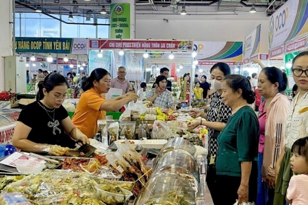Quảng Ninh tổ chức Hội chợ OCOP Hè 2026 quy mô lớn, kích cầu tiêu dùng và du lịch