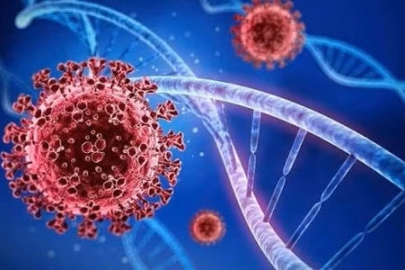 Bộ Y tế thông tin về biến thể SARS-CoV-2 BA.3.2