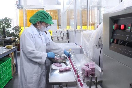 Hợp tác xã – động lực xây dựng nông nghiệp xanh, bền vững ở Lâm Đồng