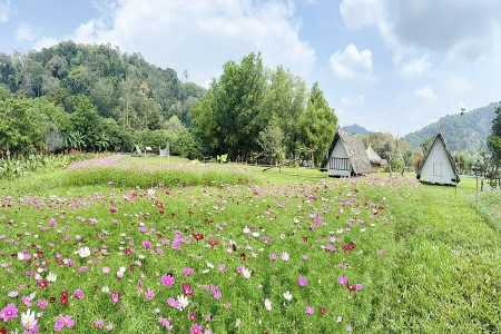 Lâm Đồng: Du lịch nông nghiệp – Động lực mới cho xu hướng du lịch xanh