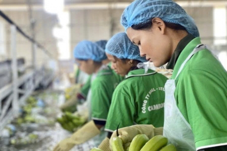 Hoàng Anh Gia Lai đặt kế hoạch lợi nhuận sau thuế 4.200 tỷ đồng