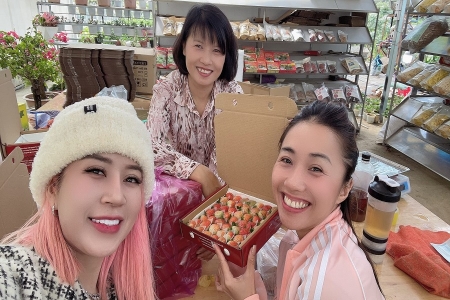 Lâm Đồng: Hiệu quả từ mô hình trồng dâu tây trên giàn gắn với du lịch trải nghiệm tại Đà Lạt