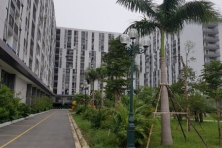 Hà Tĩnh quy định khung giá thuê nhà ở xã hội và phí quản lý chung cư mới