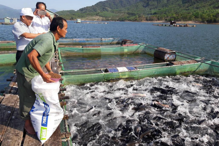 Khai thác tiềm năng hồ chứa: Động lực mới cho nuôi trồng thủy sản