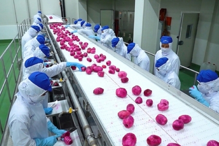 Doanh nghiệp nông nghiệp xoay trục trong “bão chi phí”: Tối ưu vận hành để giữ biên lợi nhuận