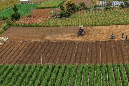 Gỡ “nút thắt” logistics, nâng tầm nông sản Lâm Đồng