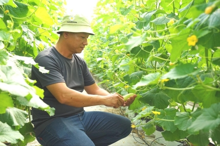 Lâm Đồng: Đẩy mạnh chuyển đổi số - xanh trong nông nghiệp, siết chặt quản lý vật tư sản xuất