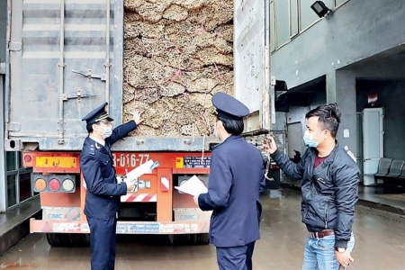 Hải quan khu vực XI: Thông quan cho 47.666 tờ khai xuất nhập khẩu trong quý I