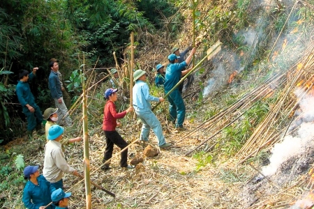 Lào Cai tăng cường biện pháp phòng cháy, chữa cháy rừng trong cao điểm nắng nóng