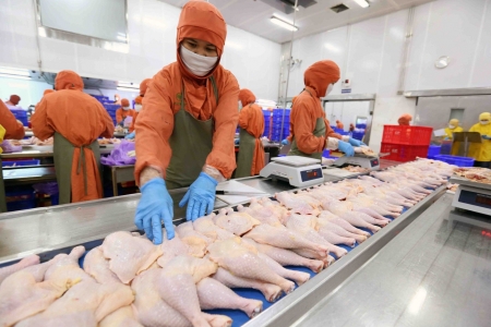 Thị trường Halal: Dư địa lớn nhưng doanh nghiệp Việt vẫn “đứng ngoài cuộc chơi”