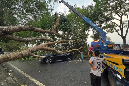 Thái Nguyên chủ động ứng phó với dông, lốc, sét, mưa đá trong thời kỳ chuyển mùa
