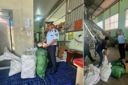 Đồng Nai: Xử phạt và tiêu hủy 175kg thực phẩm không rõ nguồn gốc