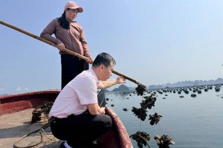 Ngân hàng CSXH Quảng Ninh giải ngân 360 tỷ đồng nguồn vốn ngân sách 