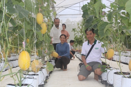 Lâm Đồng: Phát triển du lịch canh nông - Nâng cao giá trị nông sản