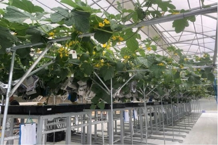 Ngành Nông nghiệp và Môi trường Lâm Đồng: Tăng tốc, quyết tâm bứt phá bền vững trong quý II