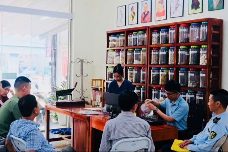Quản lý thị trường Thanh Hóa: Siết chặt quản lý thị trường dược liệu và thuốc y học cổ truyền