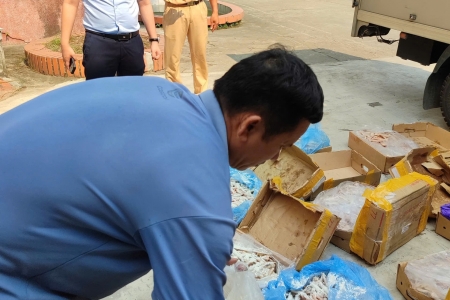 Ninh Bình: Tiêu hủy 150 kg chân gà đông lạnh nhập lậu