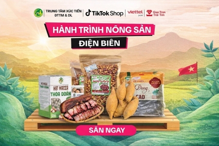 OCOP Điện Biên “lên sàn”: Mở lối cho nông sản vùng cao bước vào kinh tế số