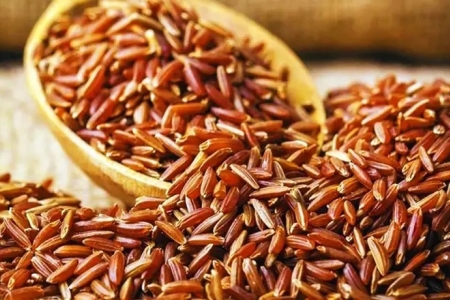 Cà Mau: Tổ chức Cuộc thi gạo ngon Đồng bằng sông Cửu Long lần thứ I vào hạ tuần tháng 4