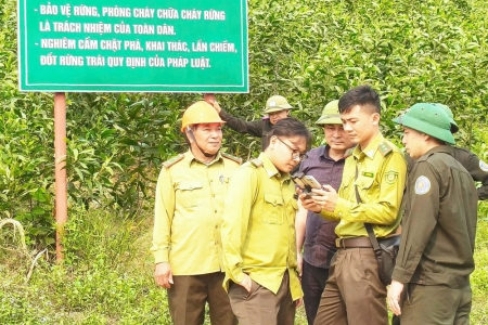 Bắc Ninh: Cảnh báo cháy rừng cấp nguy hiểm tại nhiều địa phương