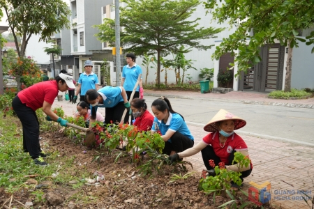 Quảng Ninh: Hội Liên hiệp Phụ nữ phường Hạ Long ra quân cải tạo, nâng cấp các tuyến đường hoa