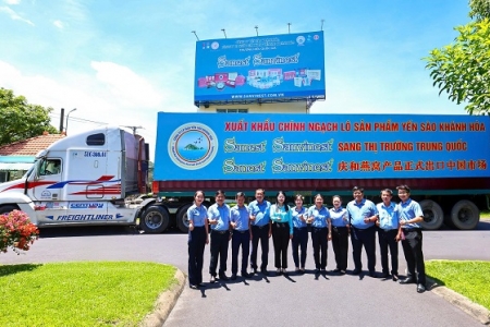 Sanvinest Khánh Hòa: Bức tranh tài chính và năng lực quản trị vững vàng qua các chỉ số tăng trưởng