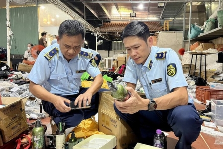 Giải pháp bảo vệ thị trường nội địa và tài sản trí tuệ doanh nghiệp trước thềm Luật Sở hữu trí tuệ 2026