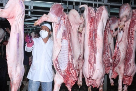 Lào Cai tăng cường kiểm soát hoạt động giết mổ và kinh doanh sản phẩm động vật không bảo đảm an toàn