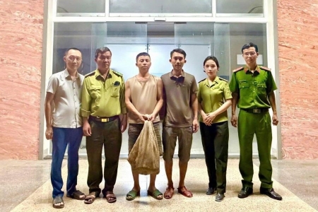 Quảng Trị: Người dân giao nộp 2 cá thể tê tê quý hiếm