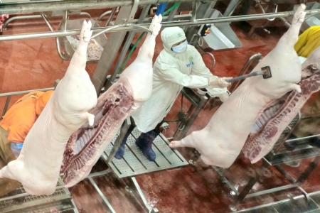 Hà Nội siết an toàn thực phẩm cho 10 triệu dân